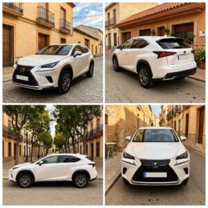 Lexus NX 300h hybrid